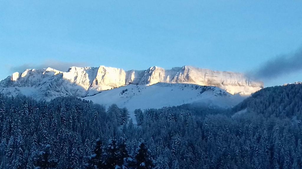 Garni Toni Hotel Ortisei Bagian luar foto
